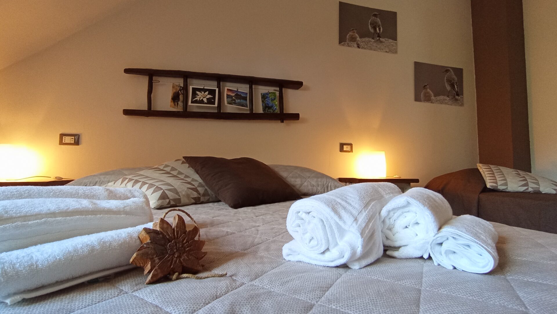 Camera Stella Alpina